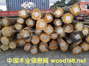 ������ľ��Ԕ����B