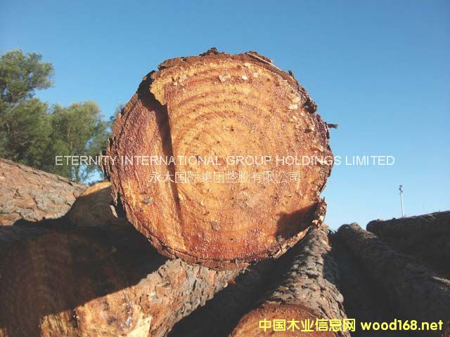 ����ɵ�Ԕ����B