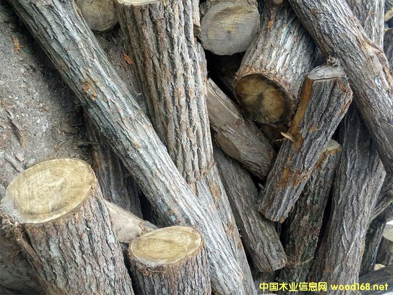 ԭľ����ľ����ľ������ľ��