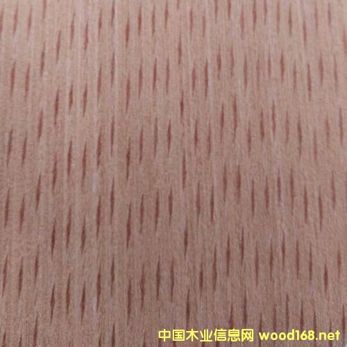 �t�οƼ�ľƤ��Ԕ����B