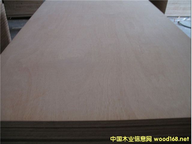 Bintangor Plywood 6