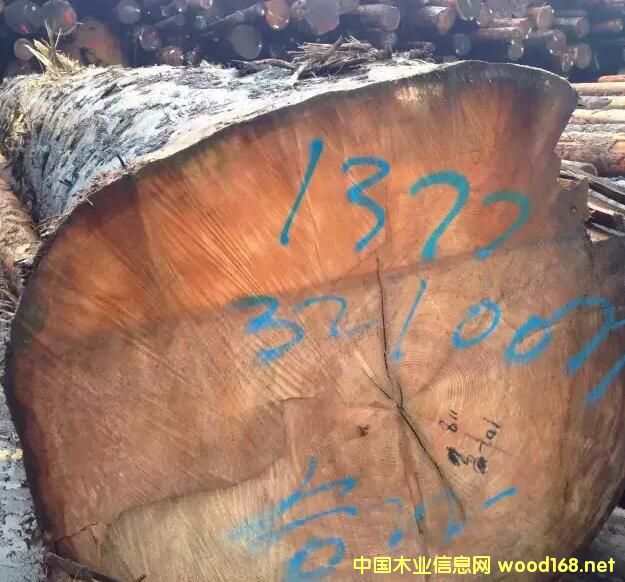 �M(j��n)�ڼ��ô��Fɼ������ԭľ��Ԕ��(x��)��B