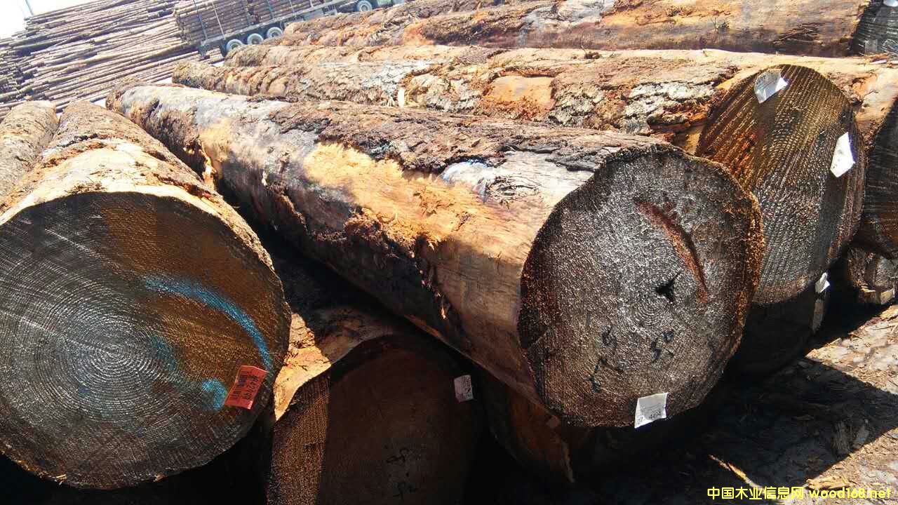 ������ԭľ���󏽱����ĵ�Ԕ��(x��)��B