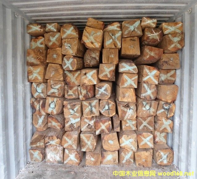 ���T�������̴�M�ڈ��P����