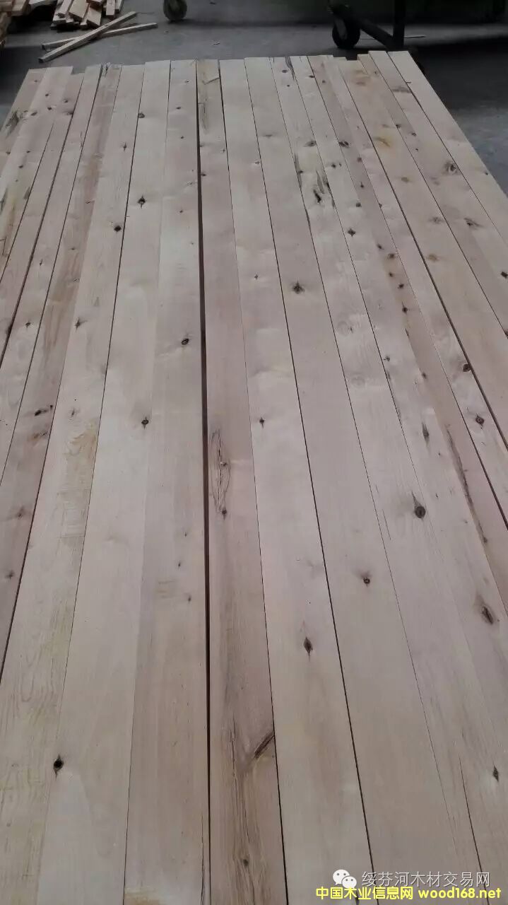 ��ľ�ٹ�ģ����̰壩