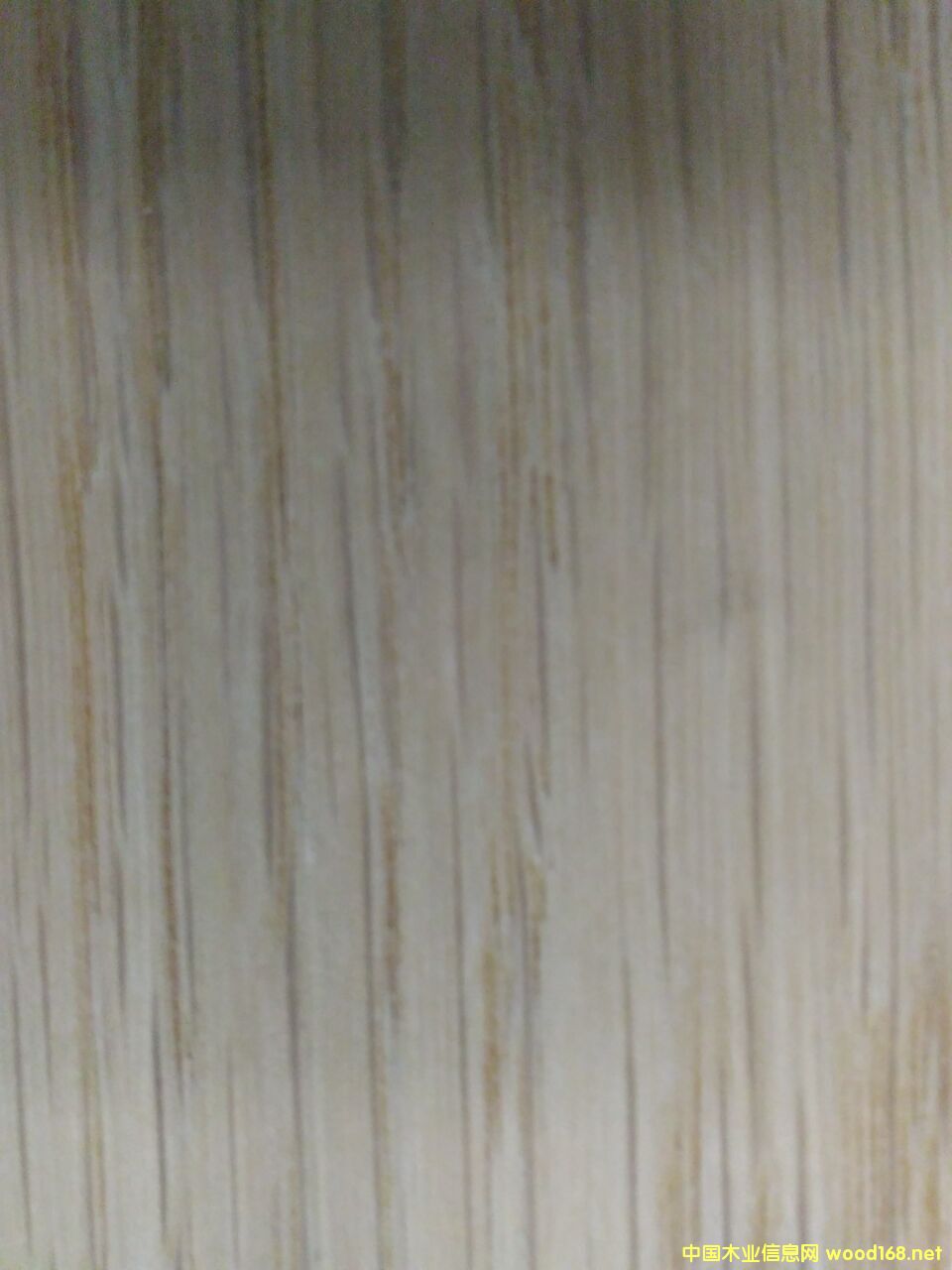 ����ľ��Ԕ����B