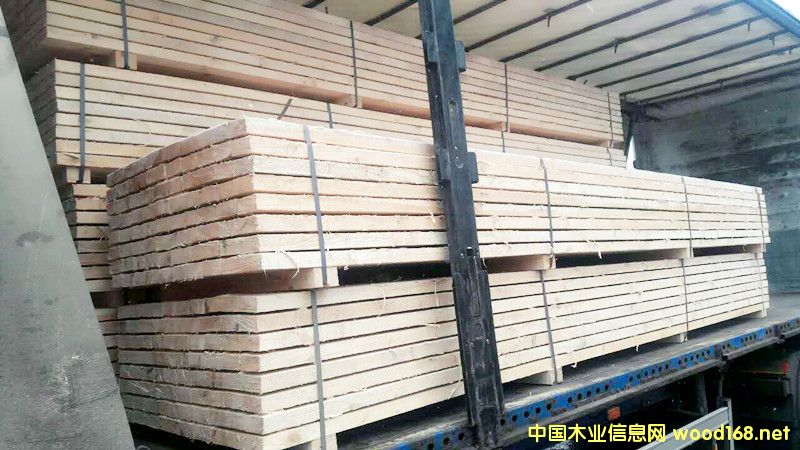 ��ɼ���SF��