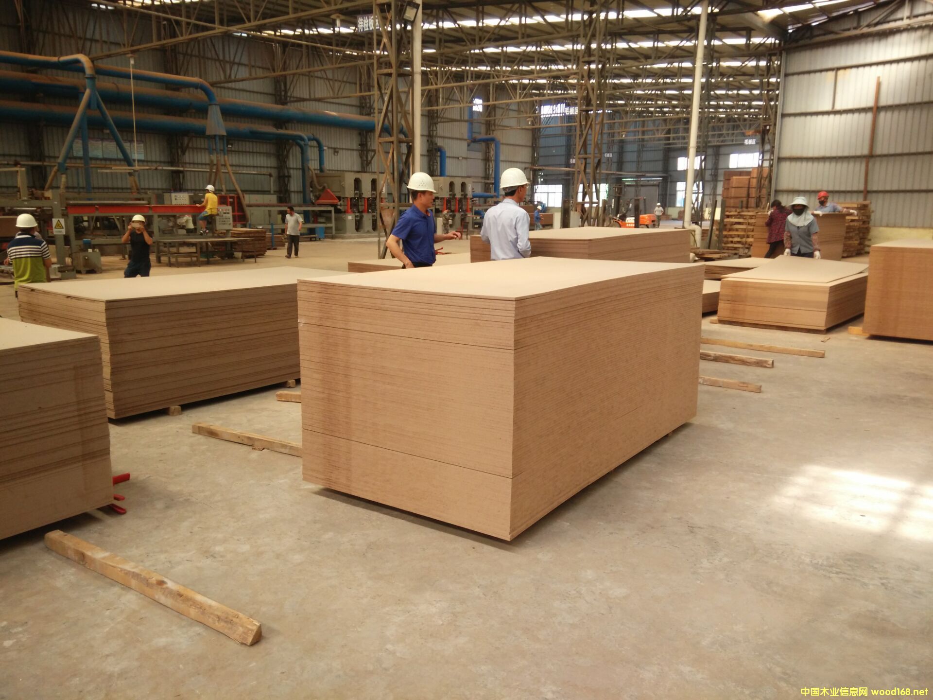 �ܶȰ��L(zh��ng)�ڹ���(y��ng)��Ԕ��(x��)��B