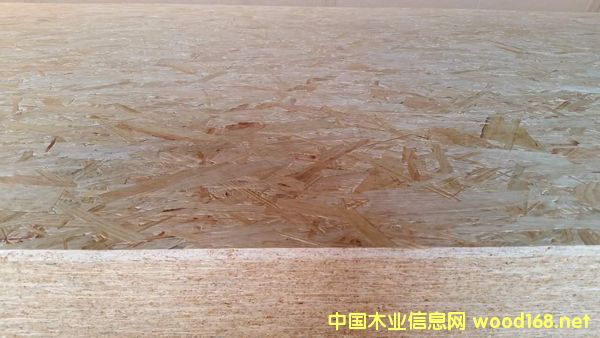 �c���鿴ɭ��OSB�Ŵ�DƬ