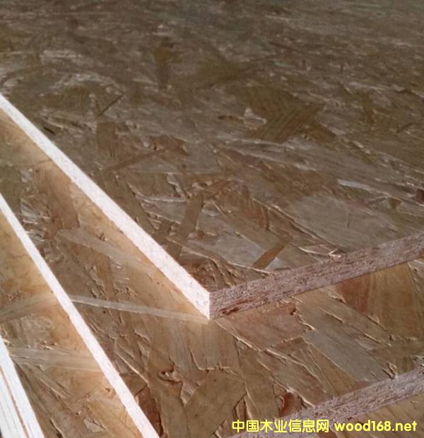 �c���鿴ɭ��OSB�Ŵ�DƬ