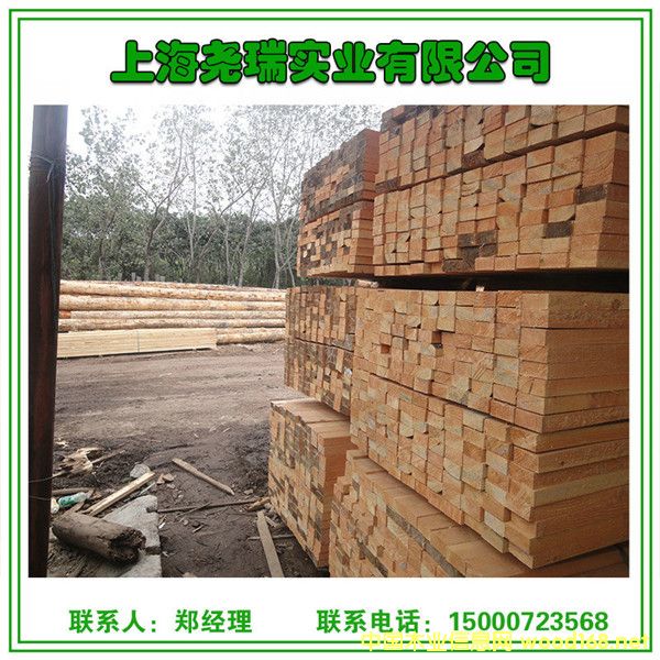 ������  �S��ֱ�N ���|ľ�Ěgӭ���R��Ԕ����B