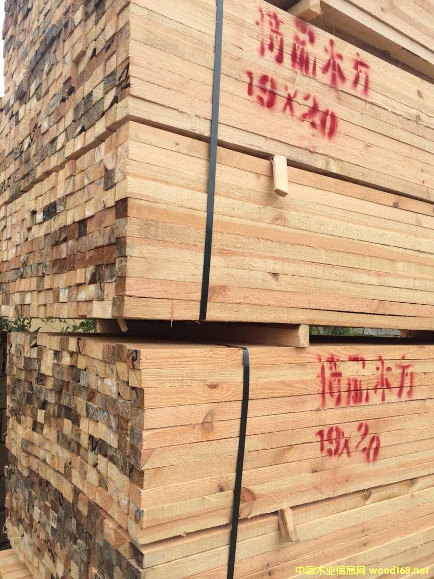 ľ����Ԕ����B