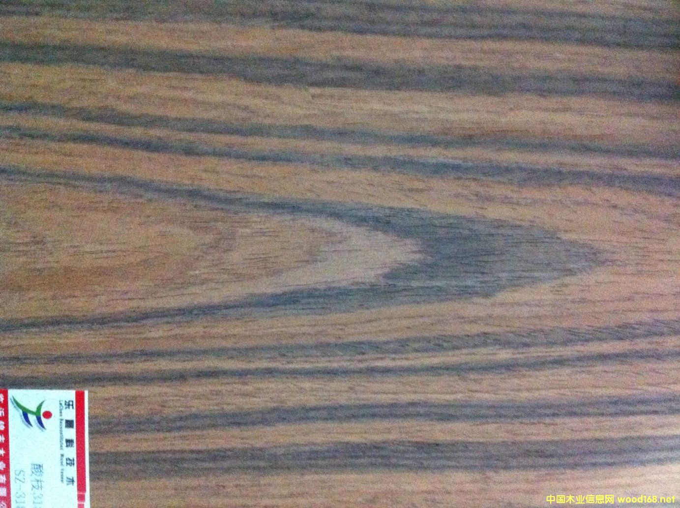 ��֦318C��Ԕ����B