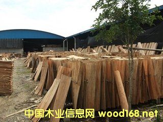 ��ľ�AоƤ��Ԕ����B