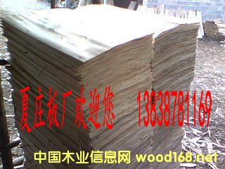 ��ľ�Aо��Ԕ����B