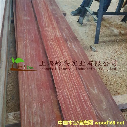 �c���鿴�t�̈́�ľ�Ŵ�DƬ
