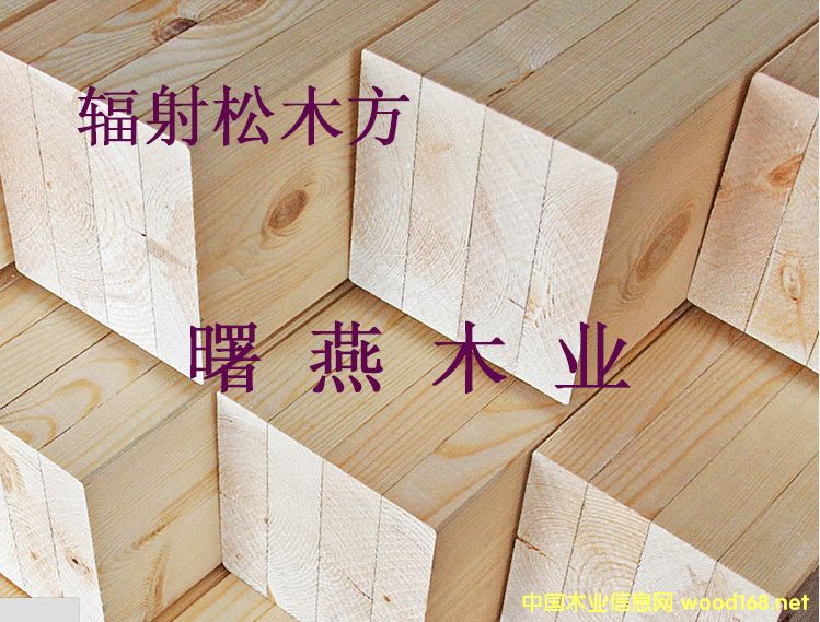 ���|��ľľ����ľ�l����ġ�����ľ��������ľ��