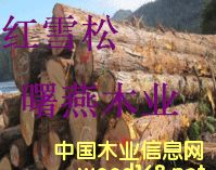 �tѩ��