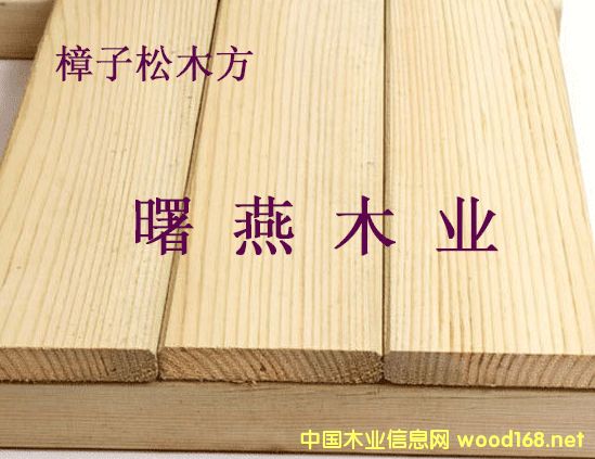 ���_˹������ԭľ