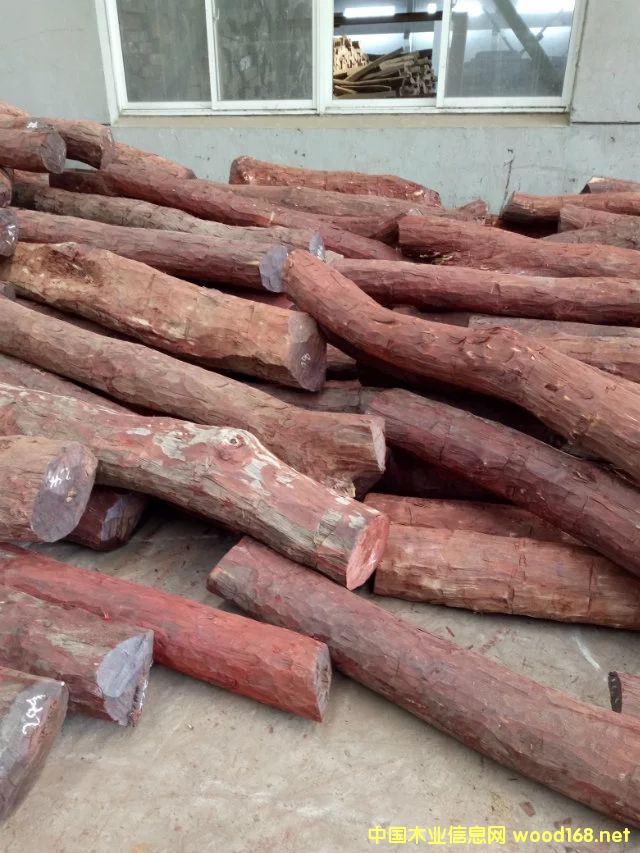 Ѫ̴���l��Ԕ����B