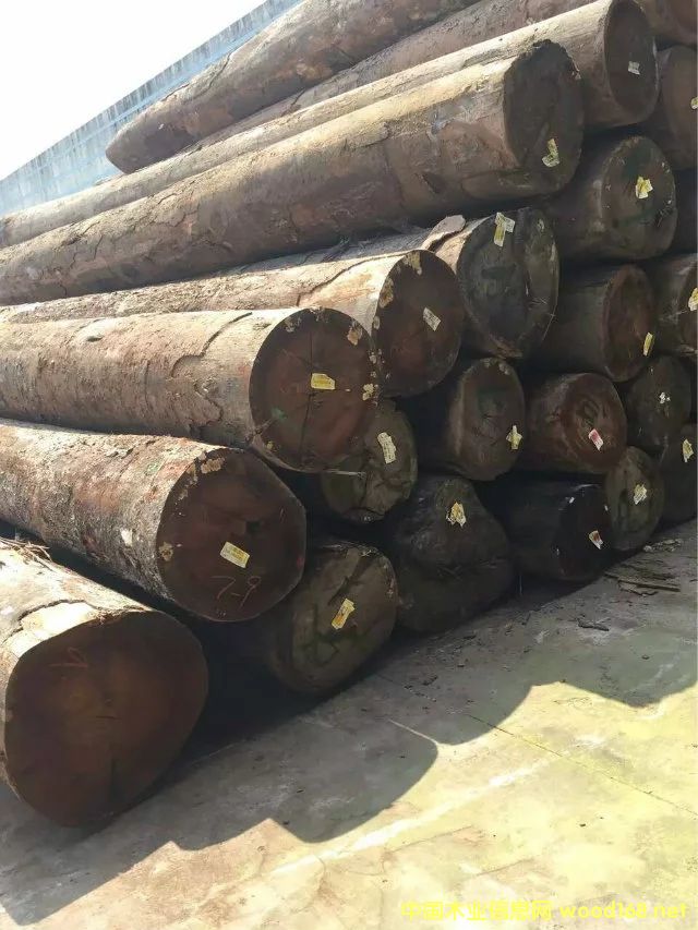 �����sľ���l��Ԕ����B