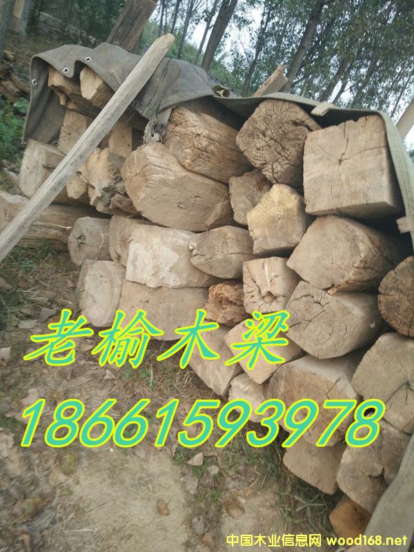 ����ľ03��Ԕ����B