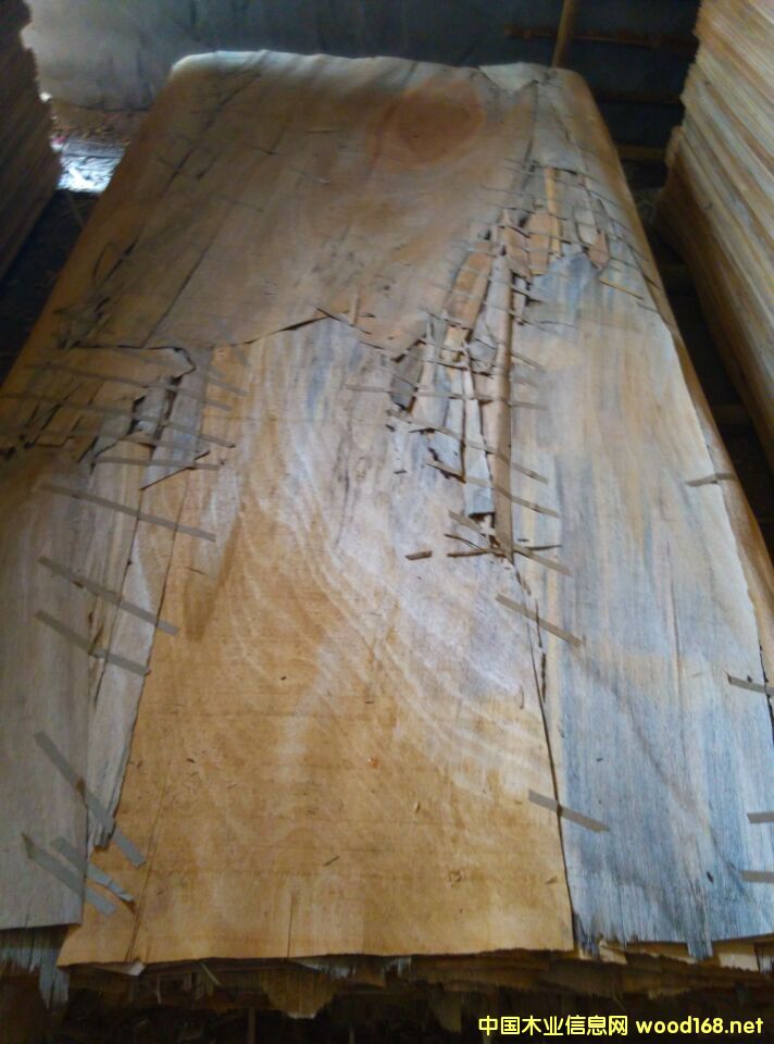 �W������Ԕ����B