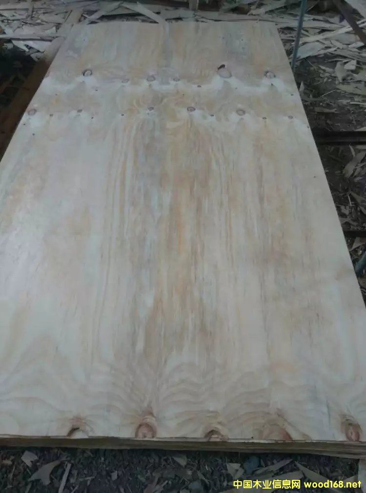 ݗ�����L�а��Ԕ����B