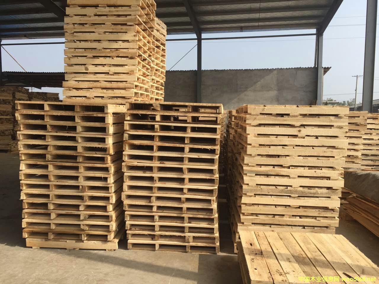 ��ľ�бP��ľ���塢��܇��ľ���塢�}�����D�������l(f��)