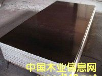 ����ģ���Ԕ����B