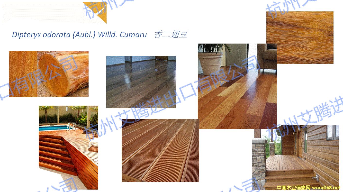 ����ᶹ��Ԕ����B