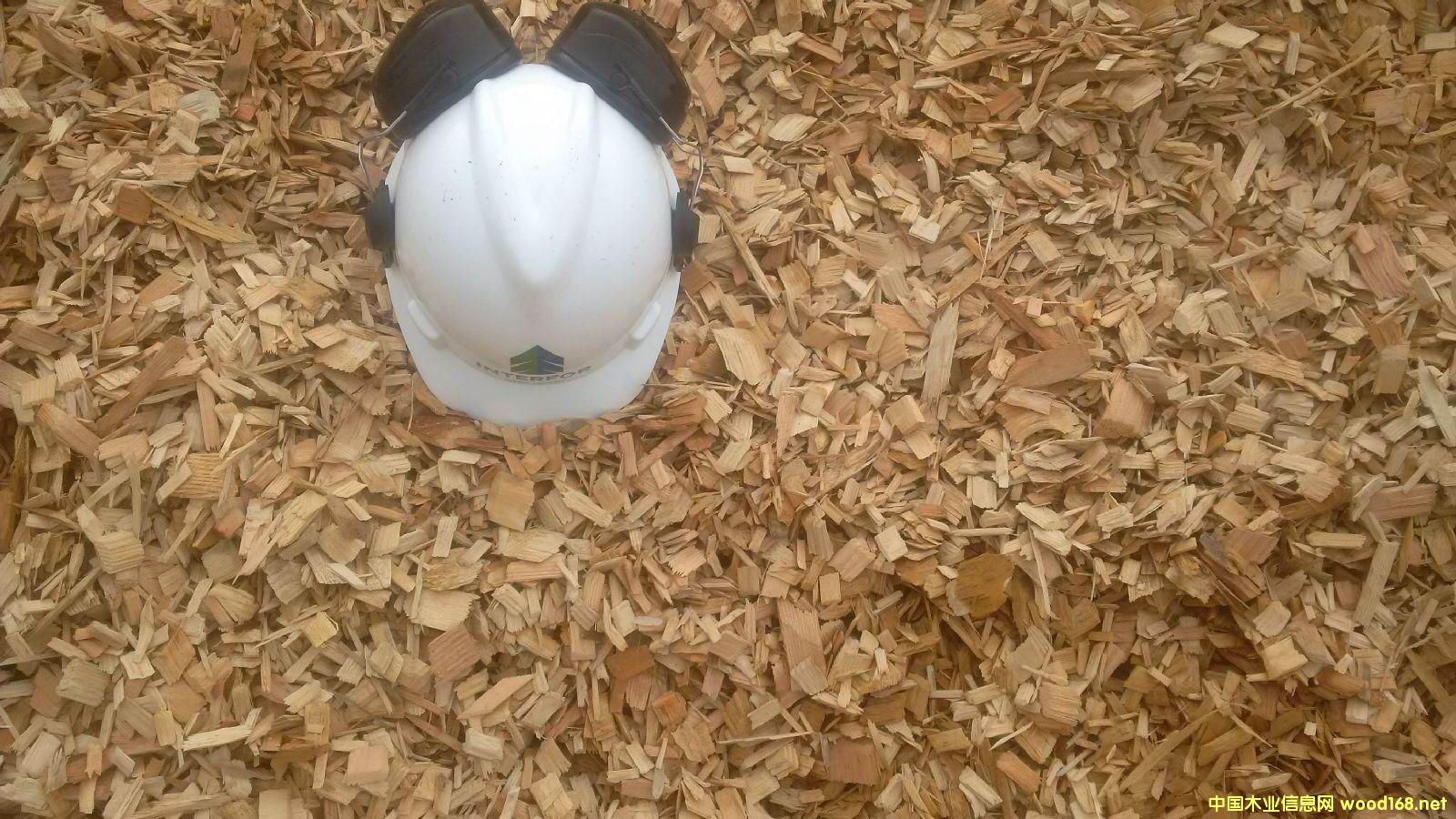 [��] �����M��ľƬ