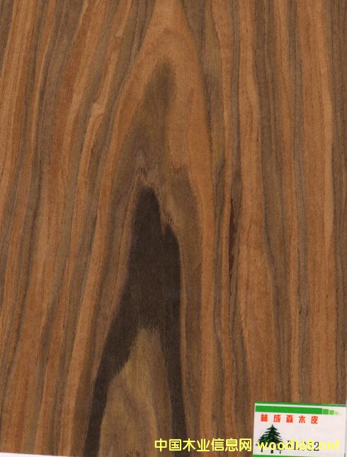 �Ƽ���֦ľƤ��Ԕ����B