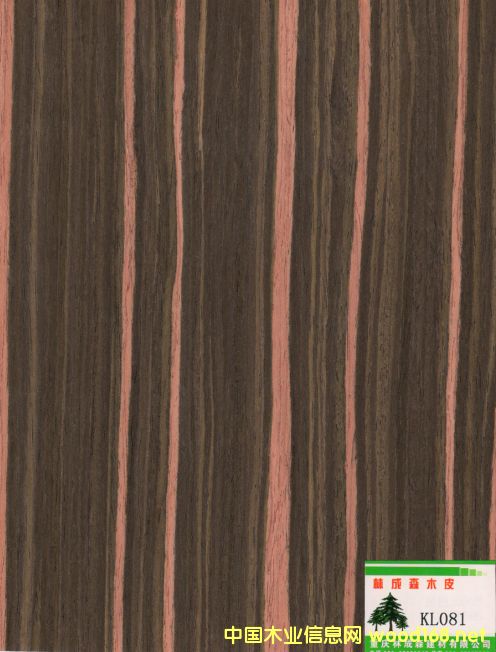 �Ƽ���̴��Ԕ����B