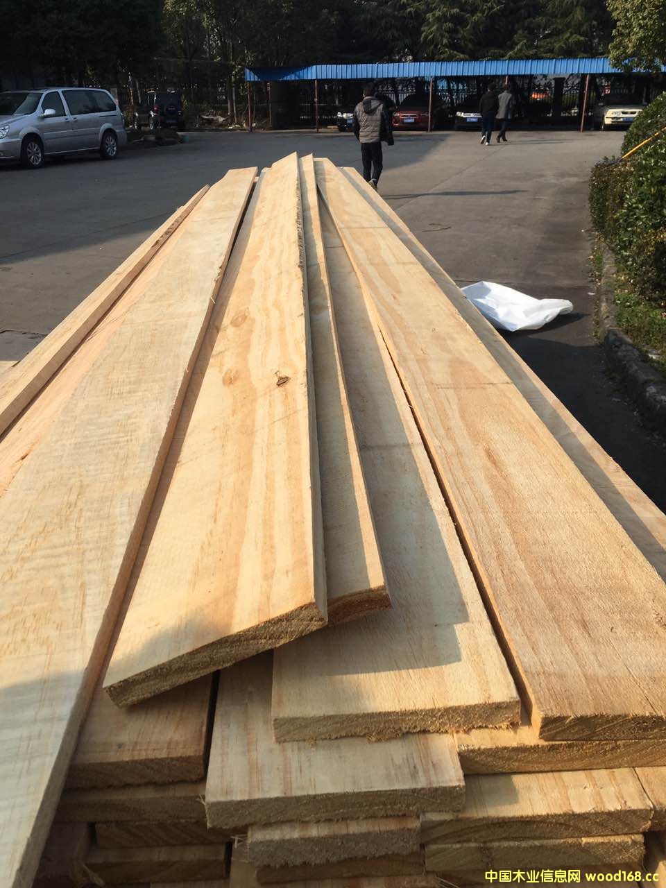 �����mݗ���������ɟo��(ji��)�ĵ�Ԕ��(x��)��B