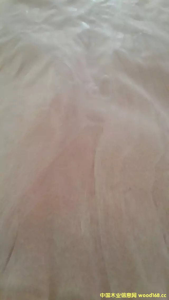 �һ�оľƤ��Ԕ����B