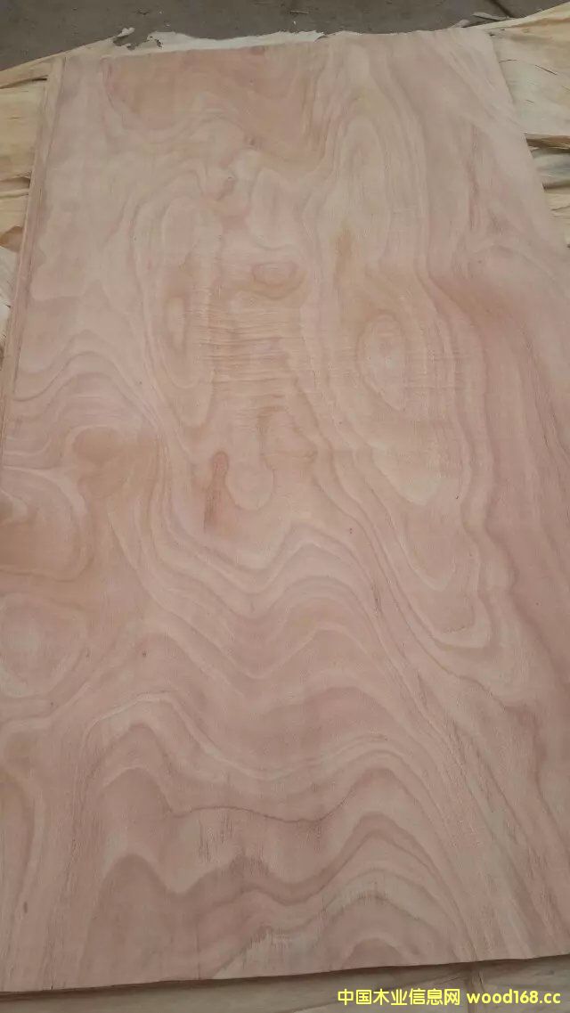 �һ�оľƤ��Ԕ����B