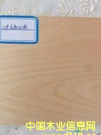 �ߙnƽģ���Ԕ����B