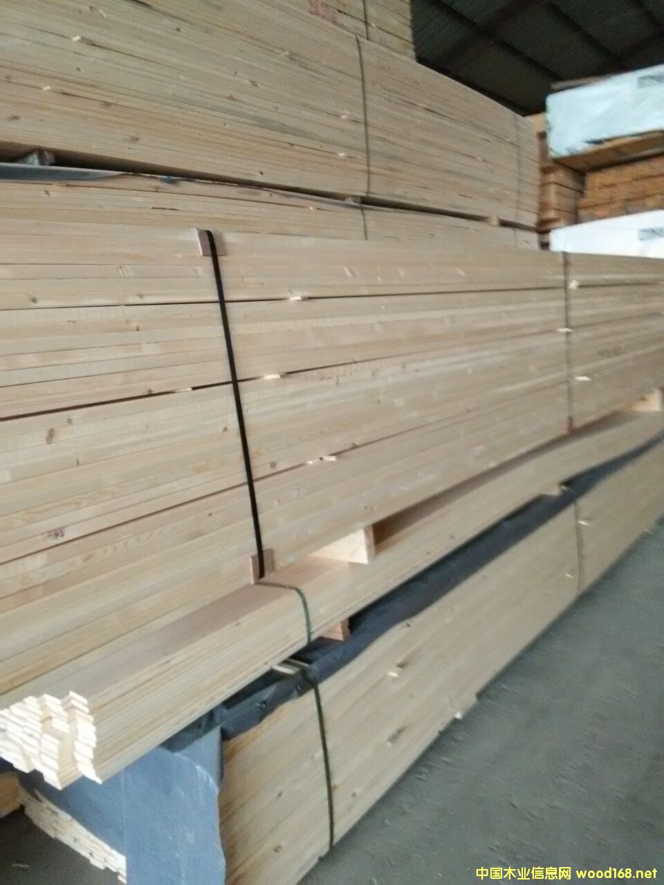 ���^�n�ӗl��Ԕ��(x��)��B