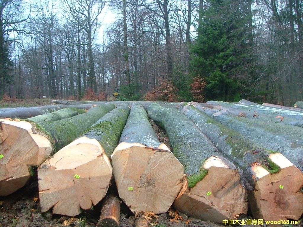 ��ľ-2016-2��Ԕ����B