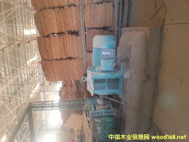 �|�_���ЙC��Ԕ����B