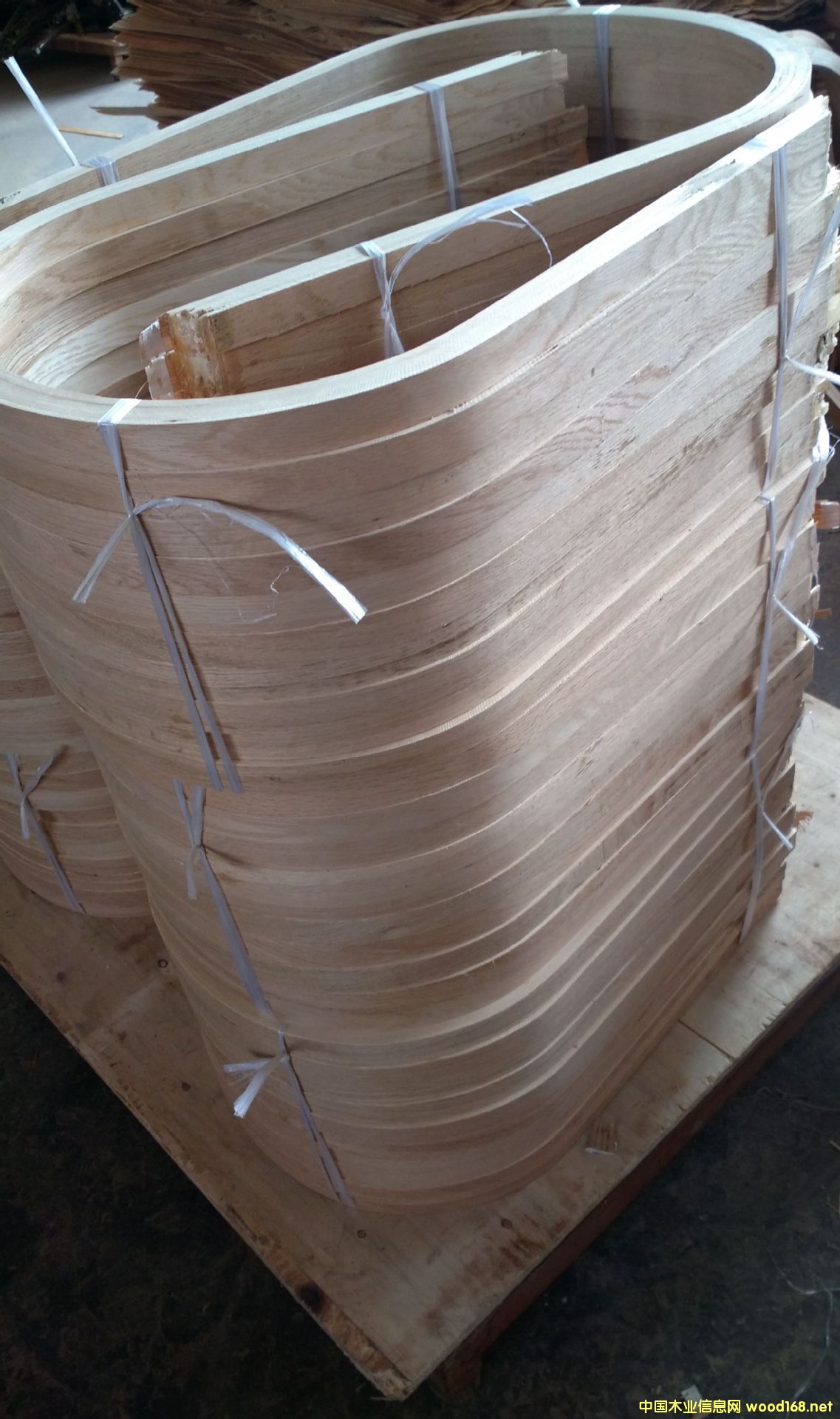 ����˹�ա����ΰ匣�íh(hu��n)����ȩ��֬��ȩ�z��������ȩ�������Ԅ�