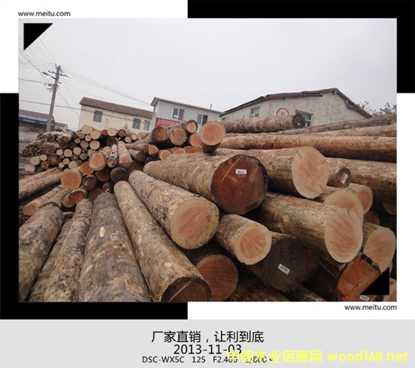 ����������ԭľ