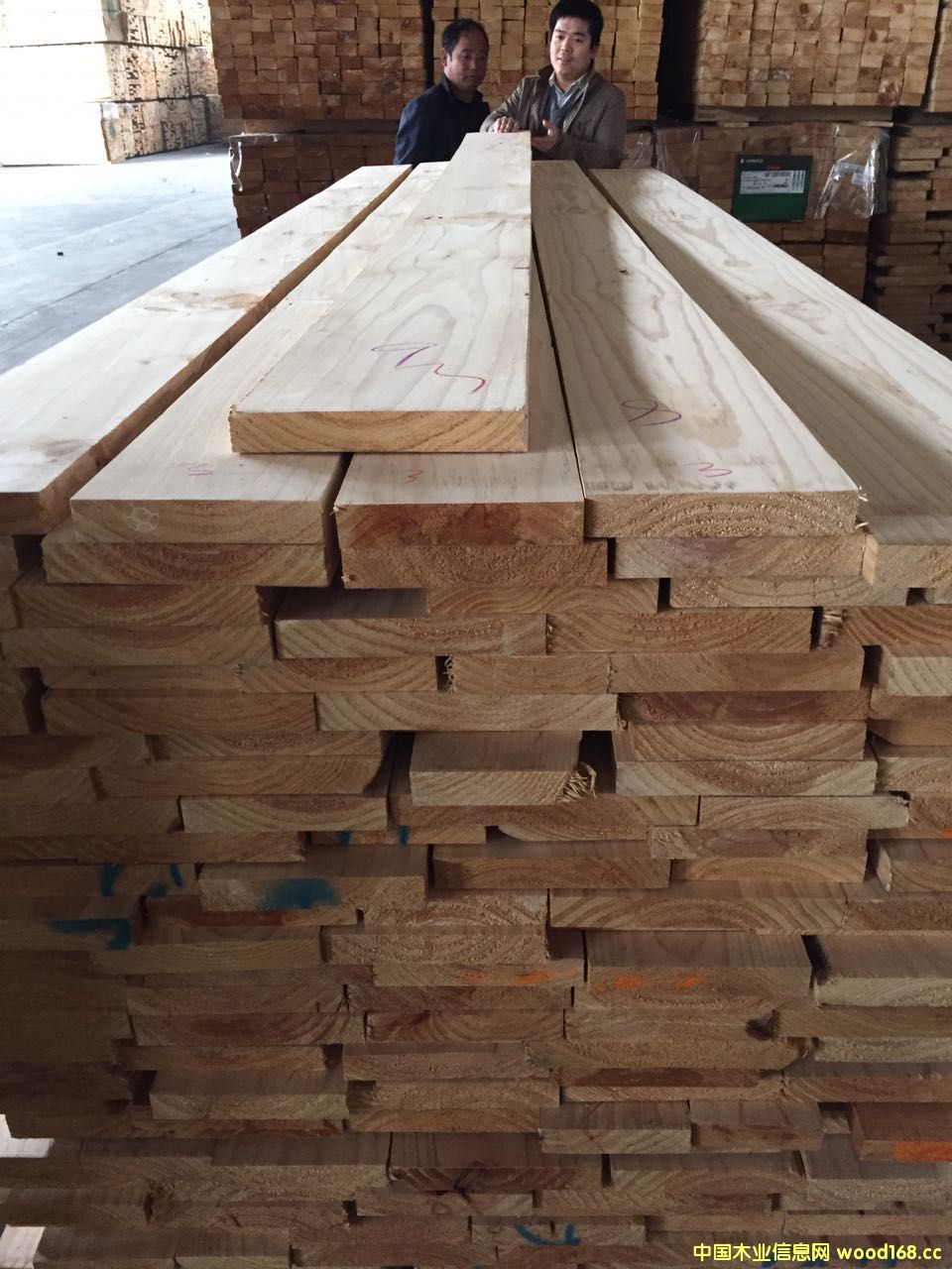 ݗ���Ɇ��湝��Ԕ����B