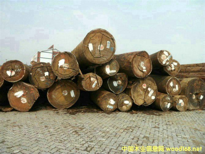 ���Ҹ�ľ���Ј�������������_�T��ռ����������һλ��