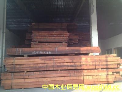 ��ȫ�򽛝��΄�Ӱ� ɰ��Խľ�ĳ�������12.6�|