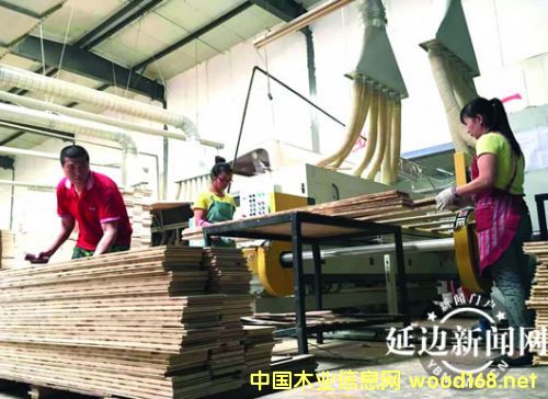 �ػ�ɭ̩ľ�I���Ƽ������A�W���Ј�