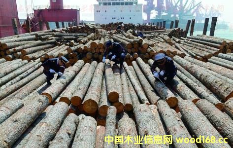 ���ݿڰ�2016����M��ľ���׳�3�f����