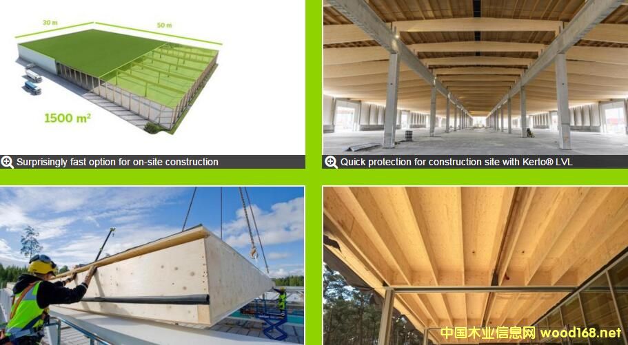 ÷ɳľ�I�����A��ľ�������ٽ���ľ�Y������