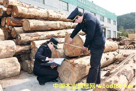 �������M��ľ�Ŀ��������L���Ⱦ����v�����